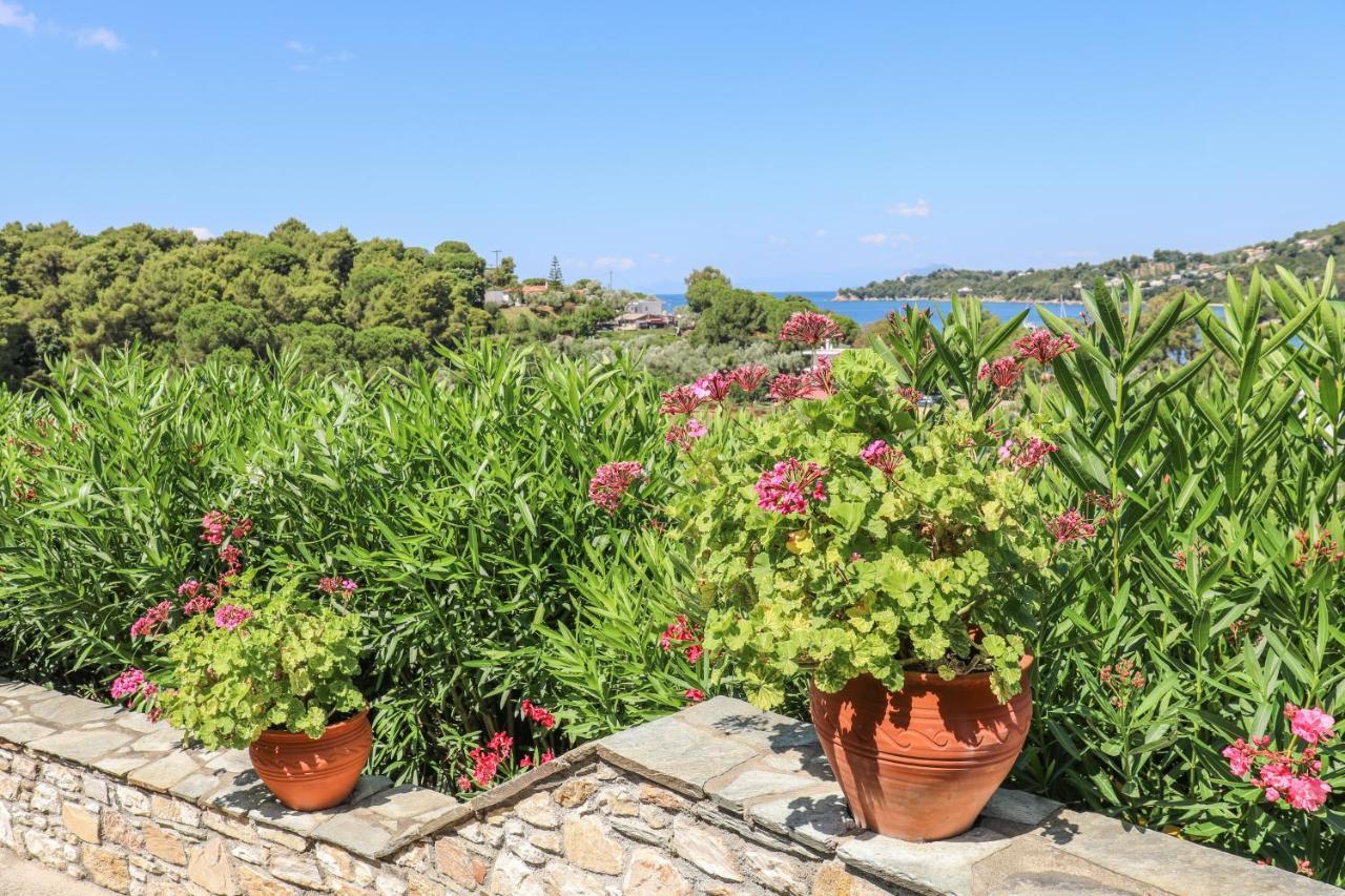 Pandora Studios Skiathos Kolios Exterior photo